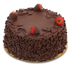 Çikolatalı Yaş Pasta 6-9 Kişilik Çikolata Şöleni pasta